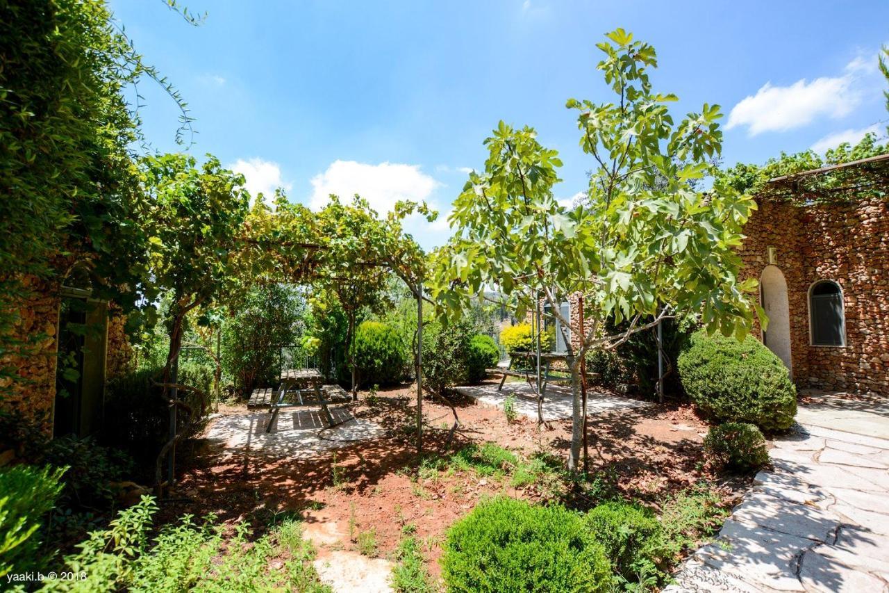 Tur Sinai Organic Farm Resort 예루살렘 외부 사진