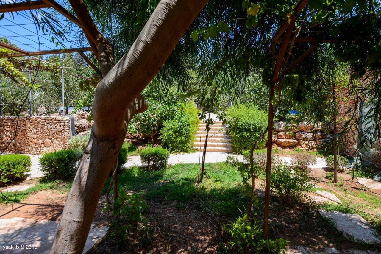 Tur Sinai Organic Farm Resort 예루살렘 외부 사진