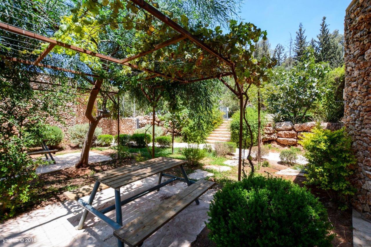 Tur Sinai Organic Farm Resort 예루살렘 외부 사진