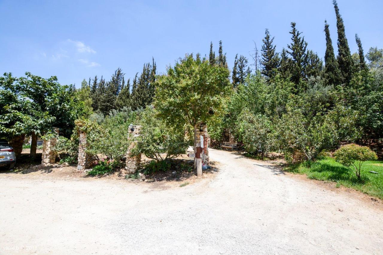 Tur Sinai Organic Farm Resort 예루살렘 외부 사진