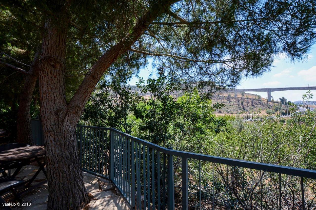Tur Sinai Organic Farm Resort 예루살렘 외부 사진
